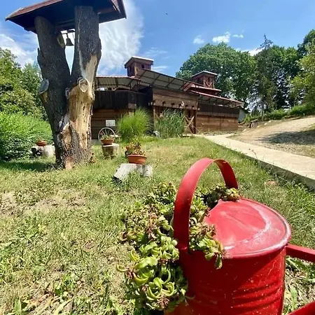 Baráthegyi Panzió és élménypark Bed & Breakfast Miskolc