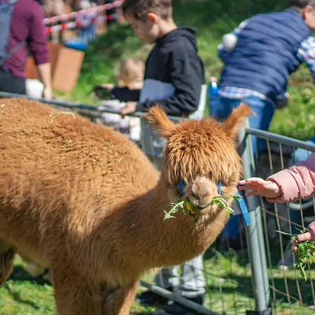 Barathegyi Panzio Es Elmenypark