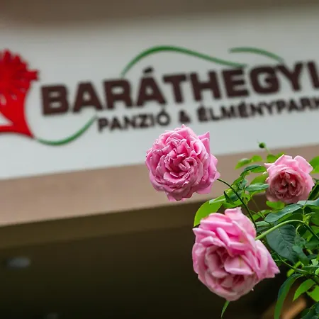 Barathegyi Panzio Es Elmenypark